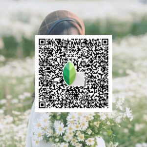 Snapseed Qr codes 2025