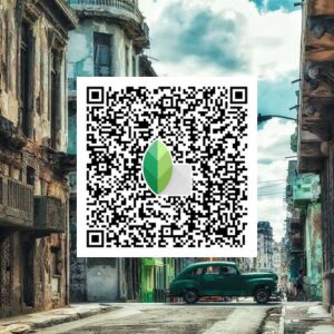 Snapseed Qr Code preset