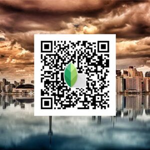 Snapseed Qr Codes