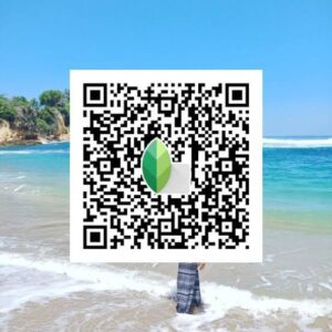 Snapseed Qr Codes preset