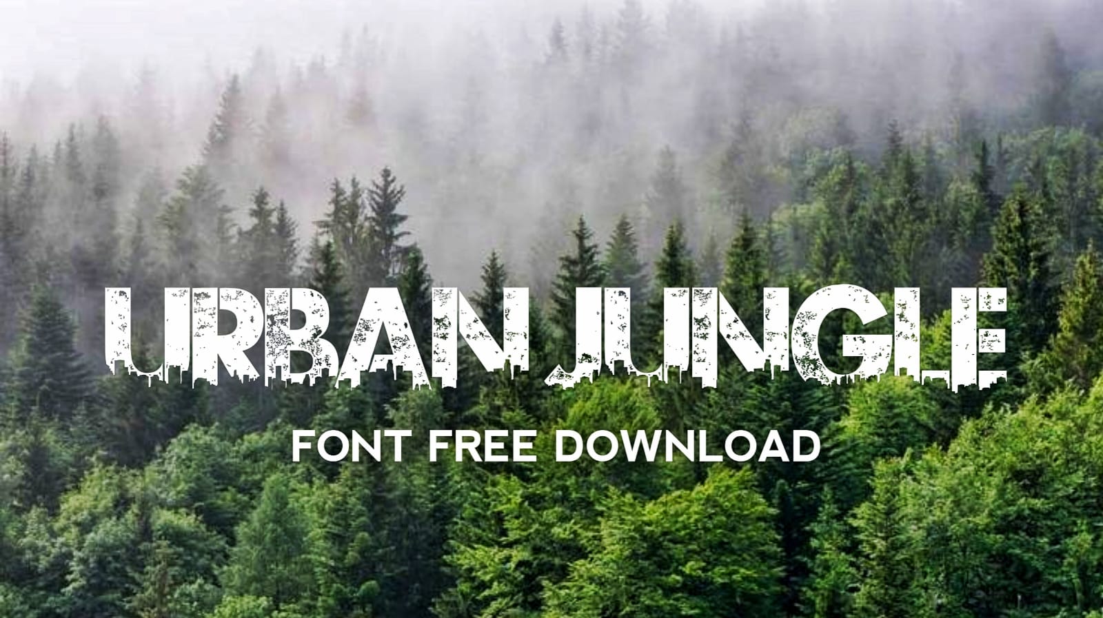 Urban Jungle Font Free Download For Pixellab