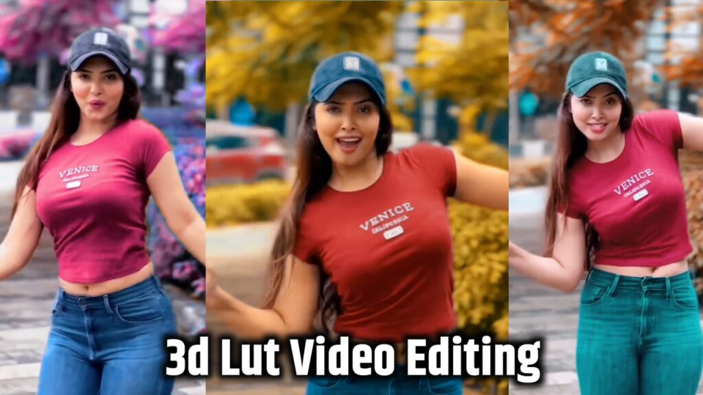 3D Lut Video Editing App 2025